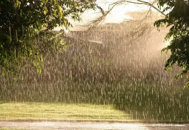 Фото из сети интернет