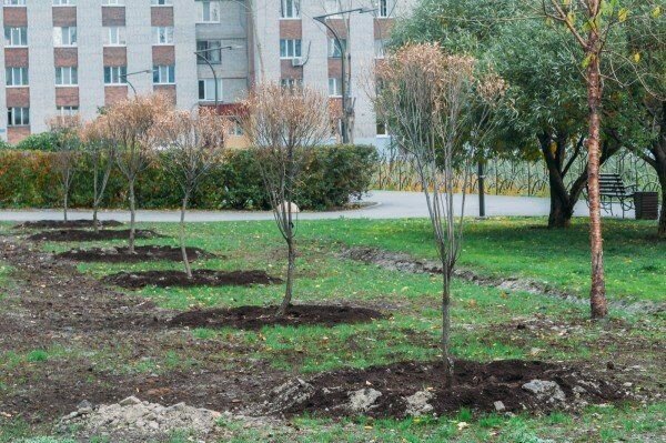 Фото с сайта kvobzor.ru