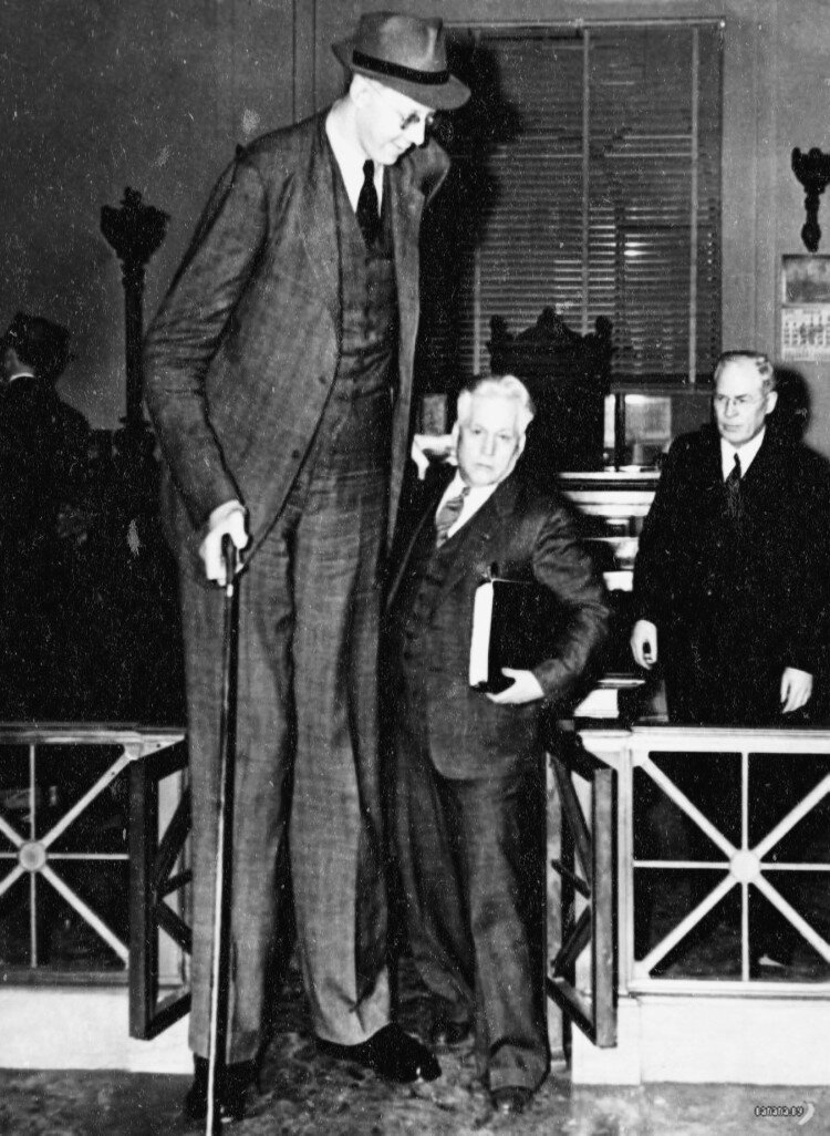 Роберт Першинг Уодлоу: Печальная участь самого высокого человека в истории