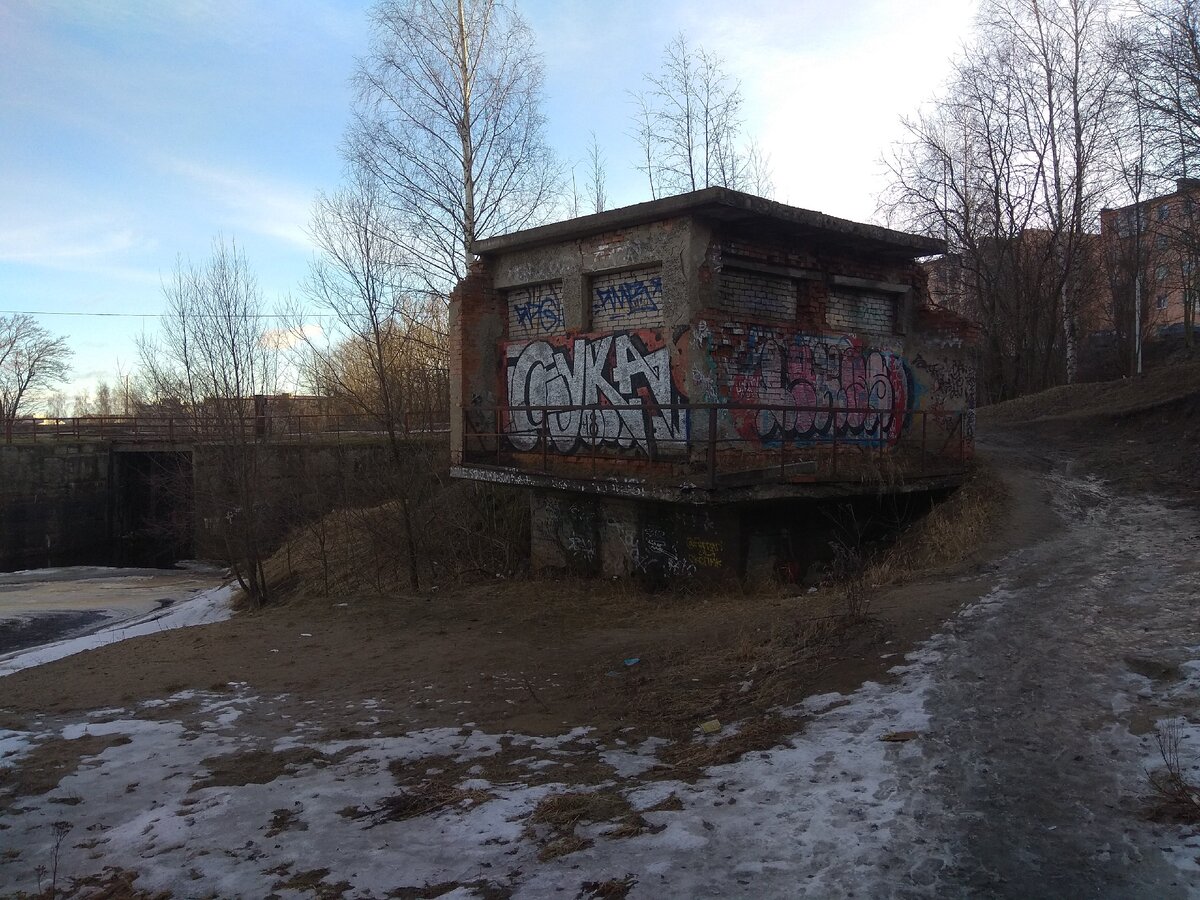 Тут я разглядел синее небо. Редкое явление там где я живу. Обычно оно серое, круглый год. 