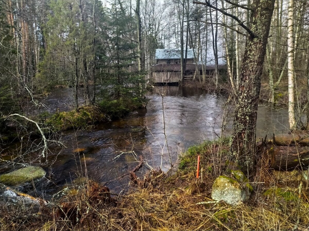 Новгородские погосты