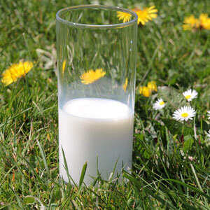 День 1
Разгрузочный

Завтрак: стакан молока пониженной жирности
