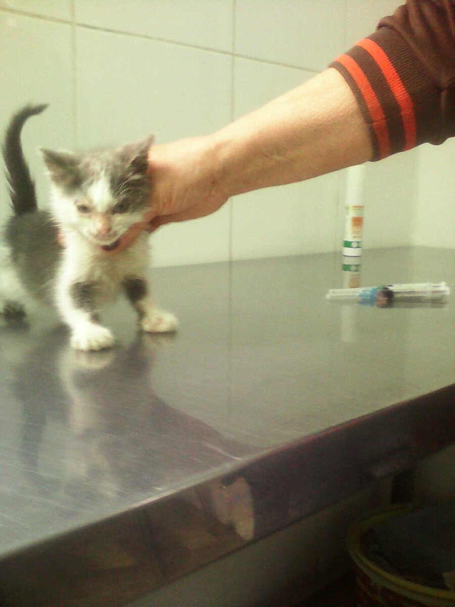 Фото от автора.