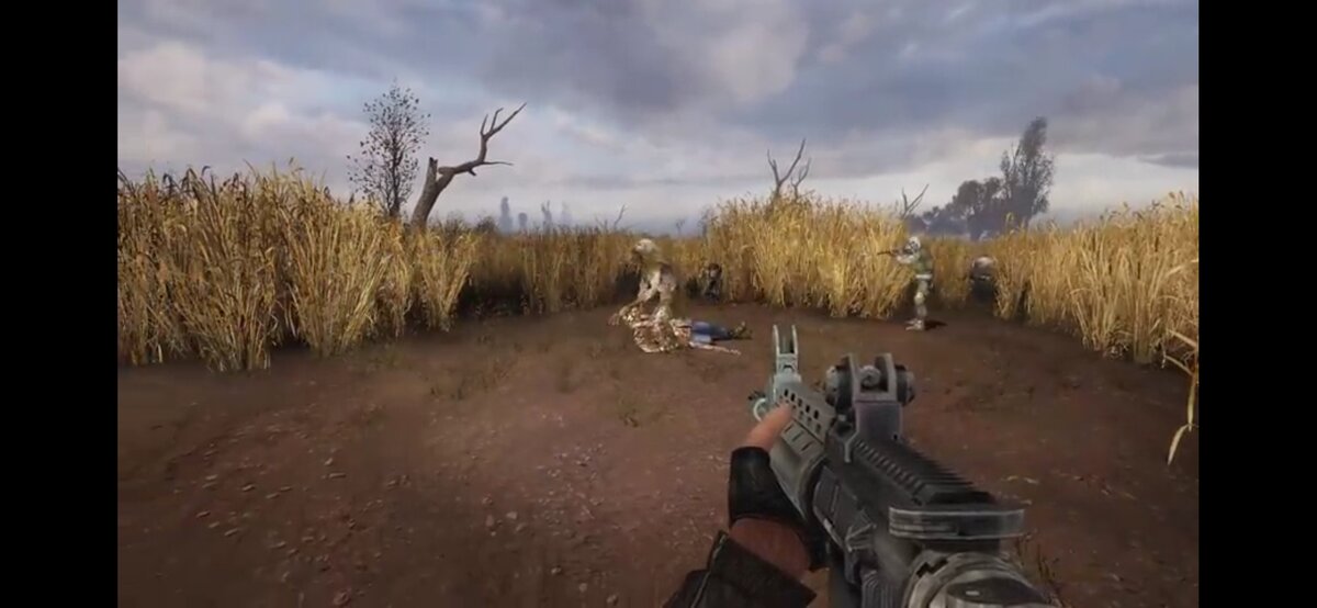 Жалко бедолагу.