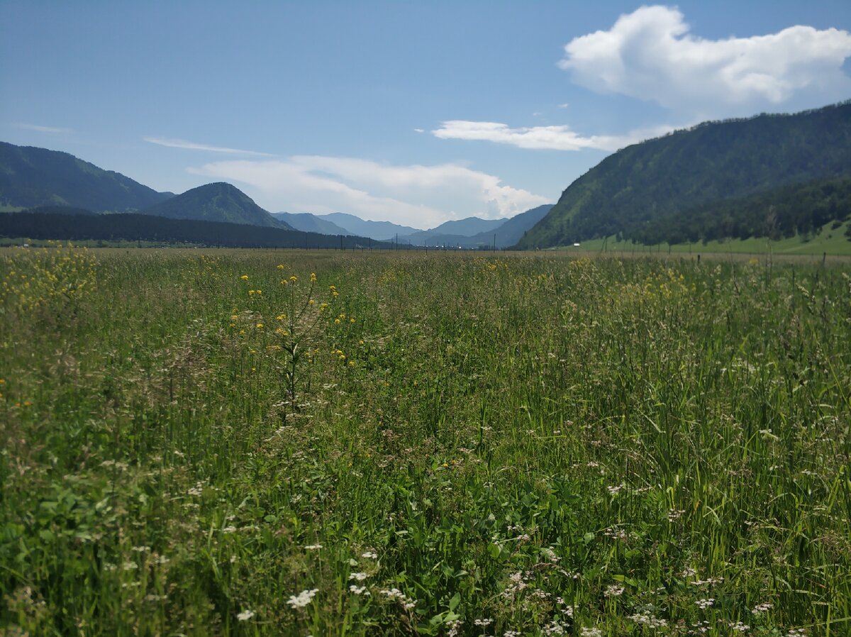Природы в городе очень не хватает