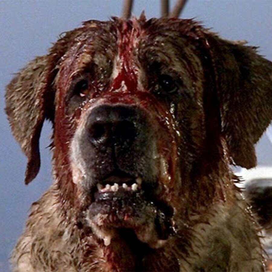 Вот такой красавец главный герой)))