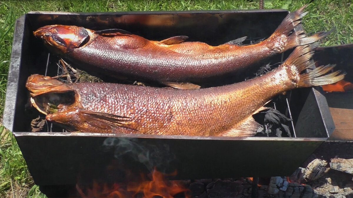 Свиной карбонат горячего копчения в «шарабане» – кулинарный рецепт