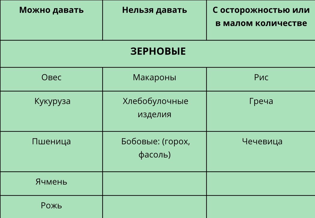 Список продуктов что едят хомяки в домашних условиях