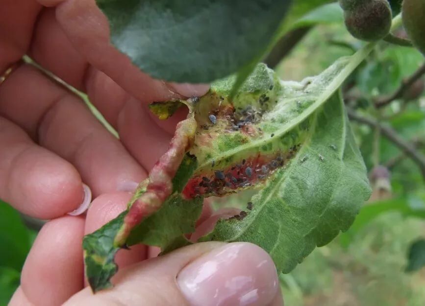 Что она творит