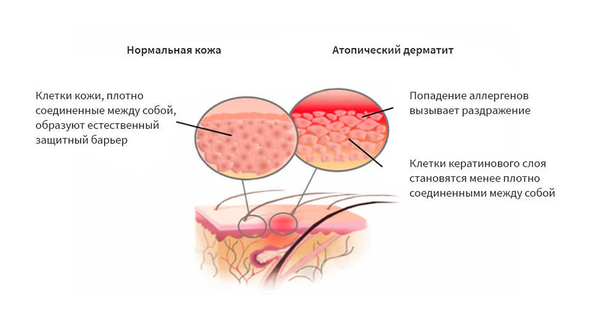 Фото: c-clinica.com