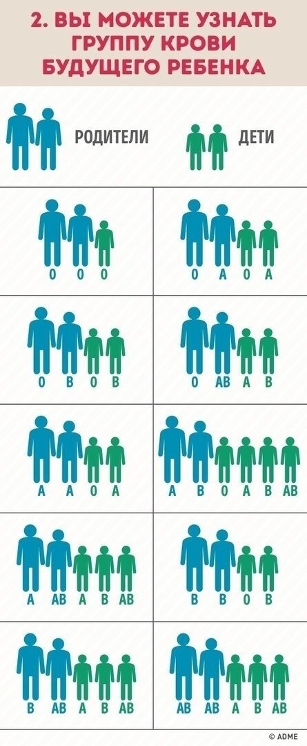 Фото взято из открытых источников