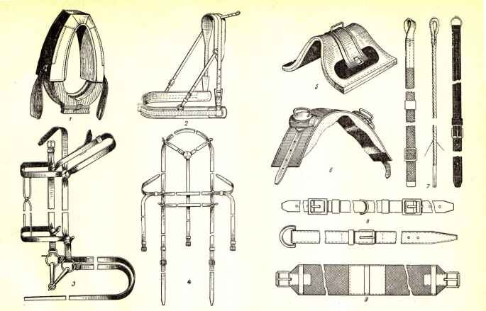 Хомут для лошади рисунок