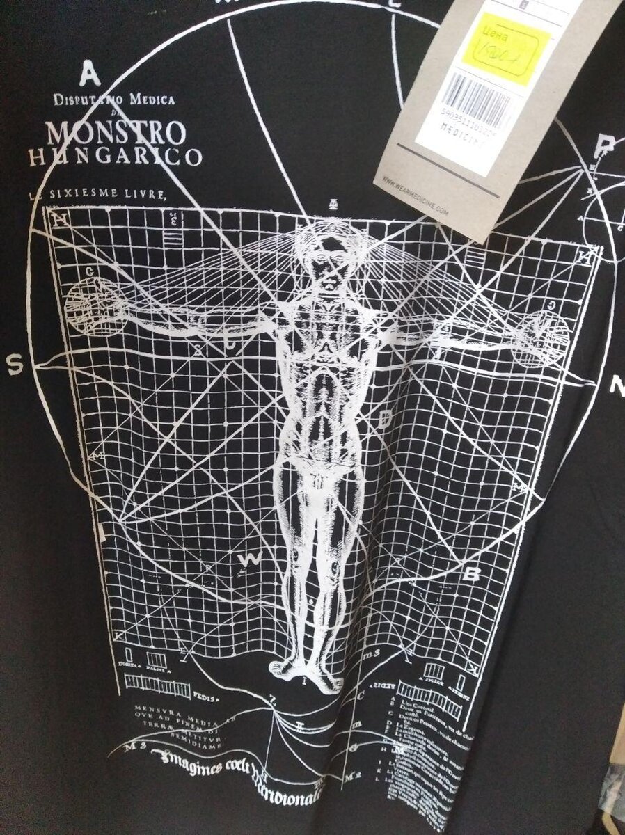 тема Да Винчи на футболке