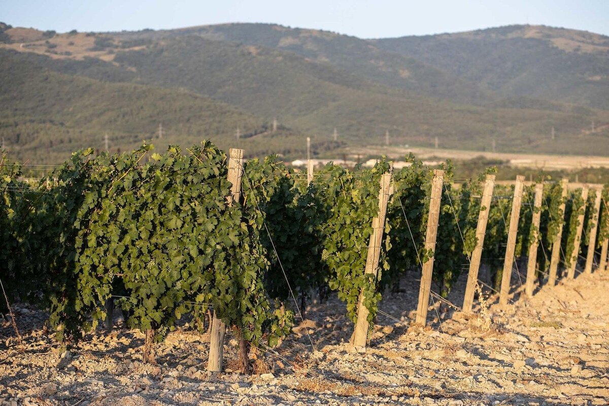 © Игорь Родин