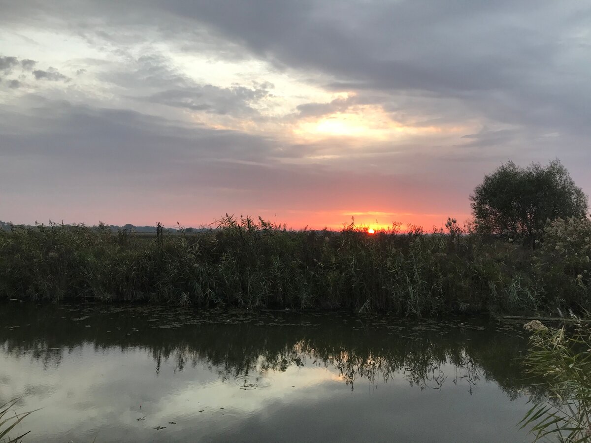 Рыбалка на Кубани. Первый опыт. | Клюёт вчера и завтра 🎣 | Дзен