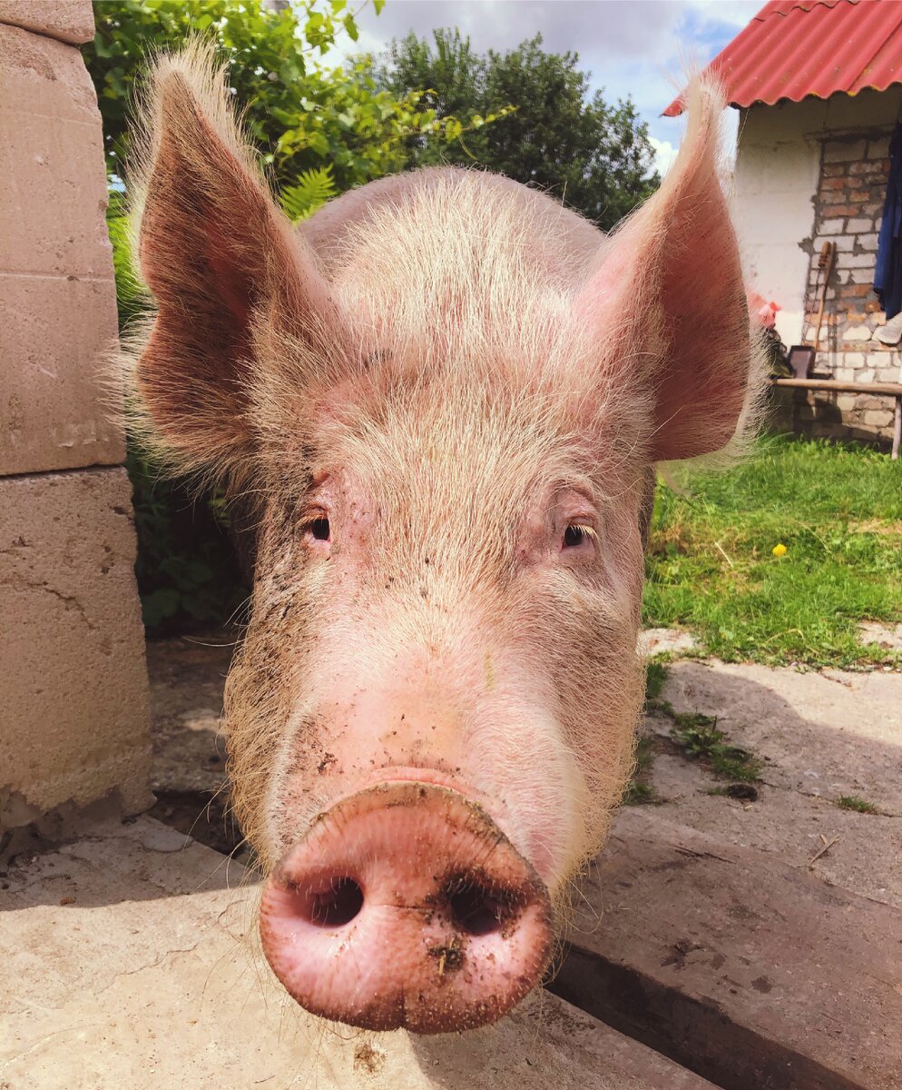 Главная «Землянка» Марфа