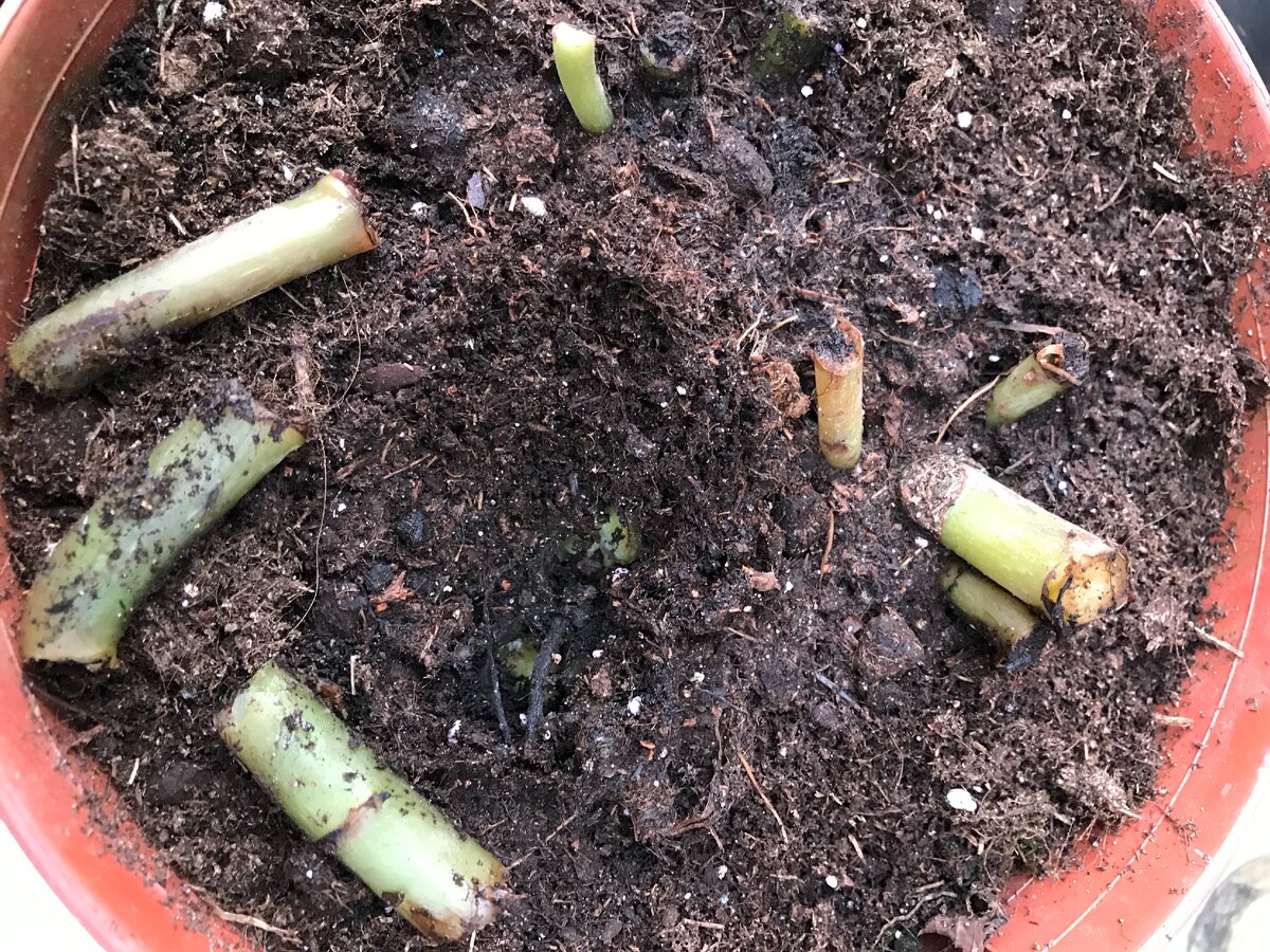 я их очень легко убрала