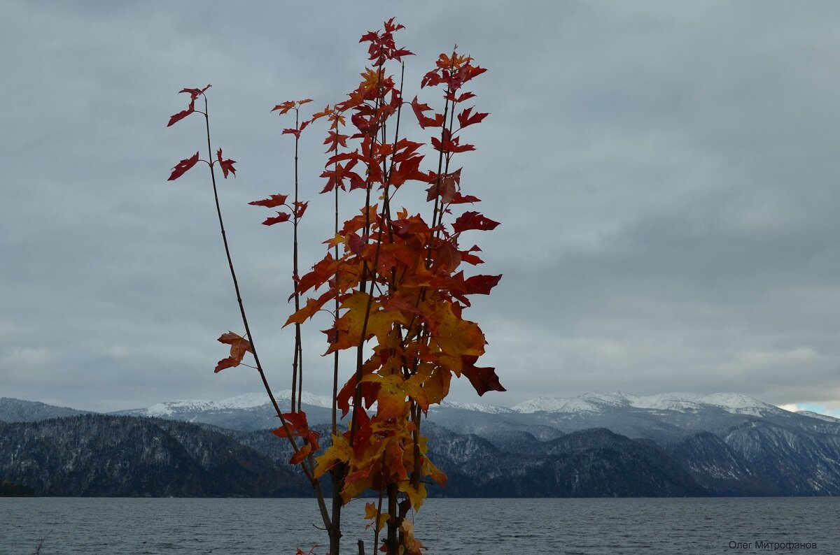вид на озеро в начале октября