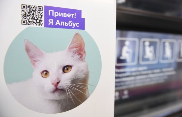 Павел Бедняков / РИА Новости