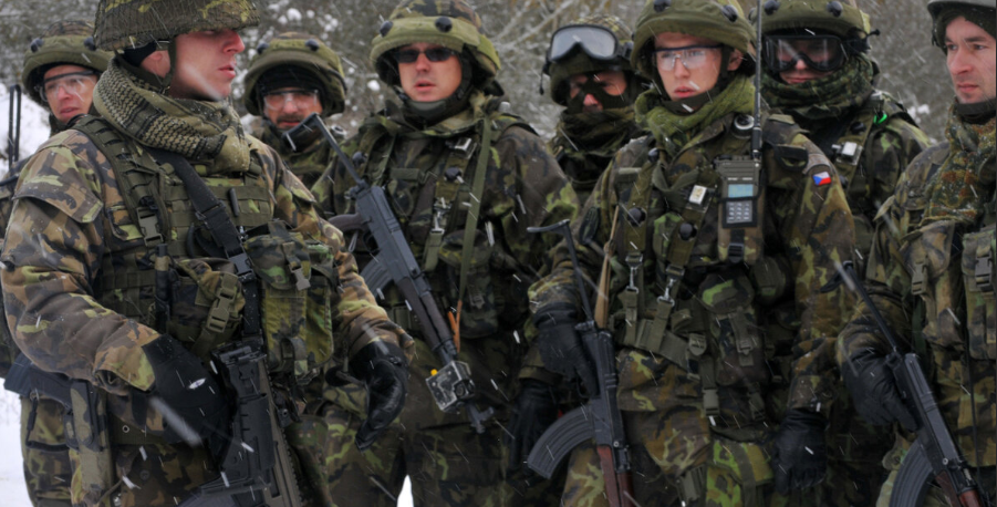 Спецслужбы Чехии