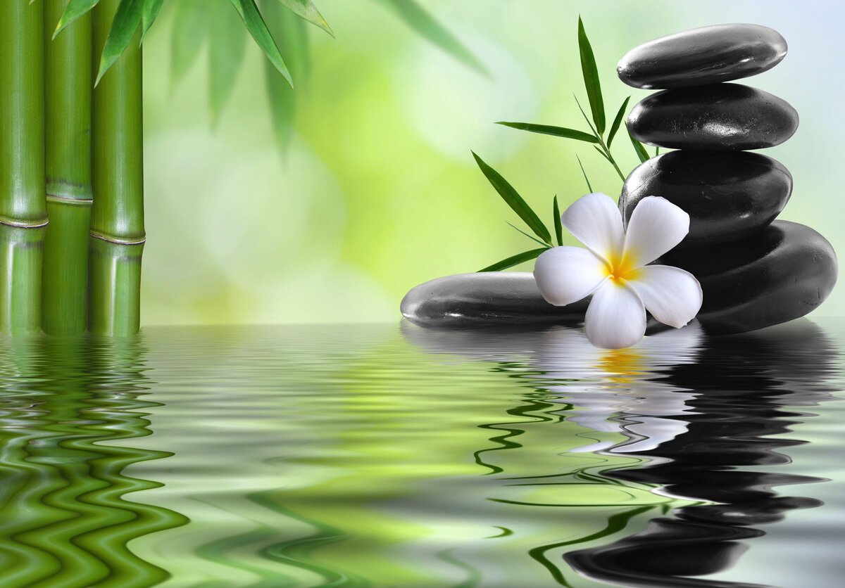 Из открытых источников Интернета.