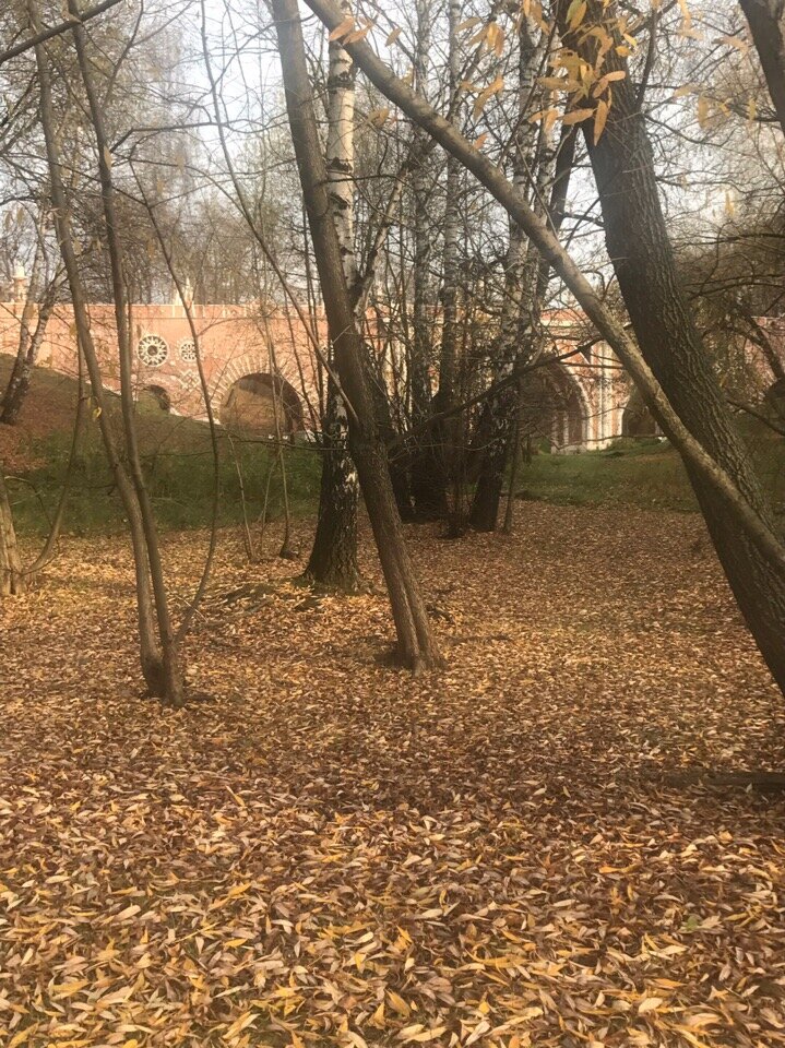 Хайпим на тайне перевла Дятлова.Воскресенье, 22.11.2020