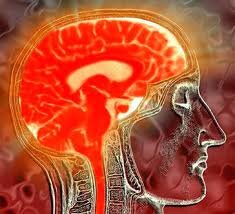 💊🧠 Питание Мозга:  Важно правильно питать мозг.  Некоторые питательные вещества являются строительным фундаментом для работы мозга, и их поступление немедленно улучшит работу мозга. Многие из этих питательных веществ для мозга трудно найти в обычной еде, но мы расскажем на что стоит обратить внимание:

✔️ Витамин D для иммунитета и против старения:

#ВитаминD , вероятно, самая важная добавка, которую вы можете принять, и одна из лучших пищевых добавок для мозга, а также для укрепления иммунитета. Он действует на более чем 1000 различных генов и является субстратом для тестостерона, прогестерона, эстрадиола и других гормонов. Он также влияет на воспаление, уменьшая его и поглощение кальция мозгом. Не удивительно, что оптимальный уровень витамина D связан с более сильной когнитивной функцией и более медленным старением мозга. 

Витамин D крайне сложно получить в достаточном количестве естественным путём и с пищей, поэтому самый лучший и безопасный вариант — принимать добавки.  Полезно принимать витамин D вместе с витаминами А и К, потому что они работают в тандеме друг с другом.
Этот витамин есть в: Иммун Селл, Альфа Шейк, Бьютиз, К2Д3-Буст, КидИЗ.

✔️ Полифенолы для нейропротекции:

Полифенолы — это мощные антиоксиданты, которые в изобилие содержатся в овощах, фруктах, ягодах.  Именно поэтому красочные продукты, такие как черника, малина, какао, красная капуста, кофе и зеленый чай, являются отличными продуктами для мозга.

Полифенолы обладают сильной нейропротекторной защитой, защищают мозг от стресса и повреждения свободными радикалами. Они являются одними из наиболее эффективных продуктов для работы мозга, которые повышают его сопротивляемость различным нарушениям.  Полифенолы также улучшают обучение, память и замедляют старение мозга. 

Существует много различных типов полифенолов, усиливающих работу мозга, но придется ежедневно употреблять в пищу большое количество продуктов, чтобы получить пользу от всех них.  Если вам не хватает их в своём рационе, то можно использовать добавки, содержащие полифенолы, такие как: Арабиногалактан (СорбиоДетокс и iQ-MCT), Какао (iQ-Драже), Гуарана (СлимХит), Ресвератрол (3Д-Матрикс), Кошачий Коготь (СеллГард) и так далее...
Суточная дозировка полифенолов: 1000 мг в день

✔️ Метилфолат и метилкобаламин для восстановления ДНК:

Метилфолат и метилкобаламин работают вместе, чтобы контролировать реакции метилирования, которые восстанавливают нашу ДНК и восстанавливают клетки мозга. Метилированные формы являются особенно важной пищей для мозга - у нас в три раза больше метилфолата в спинномозговой жидкости, чем в крови, где он работает не покладая рук, чтобы поддерживать нервные связи и восстанавливать нарушенные ДНК. Фолат #ВитаминB9 и #ВитаминB12 особенно важны для омоложения мозга.

Высокий уровень фолиевой кислоты приведет к снижению уровня В12, и наоборот, поэтому лучше всего принимать их вместе.  Дисбаланс между ними приведет к быстрому снижению одного из двух факторов, что может привести к депрессии и снижению функций мозга. 

Суточная дозировка метилфолата и метилкобаламина: 800 мкг метилфолата с 5000 мкг метилкобаламина, ежедневно! Время приема: с едой.
Витамин B9 в АльфаМайнд, Бреиниджайзер,  Альфа Шейк, К2Д3-Буст, ГепаАрт.
Витамин B12 в Альфамайнд, Иммун Селл, Альфа Шейк, + Релаксиз, ГепаАрт.

✔️ Холин для улучшения внимания и психической выносливости:

#Холин #ВитаминB4 — основной строительный материал для ацетилхолина, нейротрансмиттера, который играет главную роль в мотивации, внимании, обучении и памяти. 

Холин обладает ноотропными свойствами: он повышает способность обращать внимание и эффективно учиться, вероятно, потому, что вы используете много ацетилхолина во время умственных задач, а холин помогает вам синтезировать его в таком количестве, чтобы работать усерднее и работать дольше. Холин также связан с уменьшением процессов воспаления в головном мозге в зависимости от дозы - чем больше холина вы получаете, тем меньше воспаление.