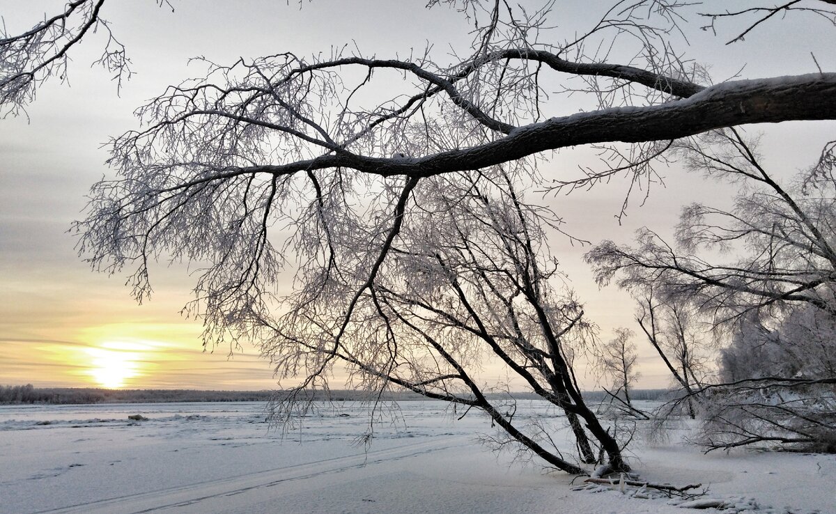 Рассвет в коряжнике