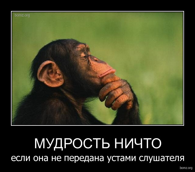 смешная мудрость. смешные мудрости. смешные мудрости. смешные мудрости. позитивные высказывания.
