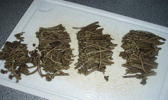 Источник: https://yandex.ru/images/search?cbir_page=similar&pos=0&cbir_id=2339330%2F6Bu3AnGK9pTj3YmLit7bbg6041&img_url=https%3A%2F%2Fprofter.ru%2Fwp-content%2Fuploads%2Frezhem-paporotnik-na-neskolko-chastej.jpg&rpt=imageview