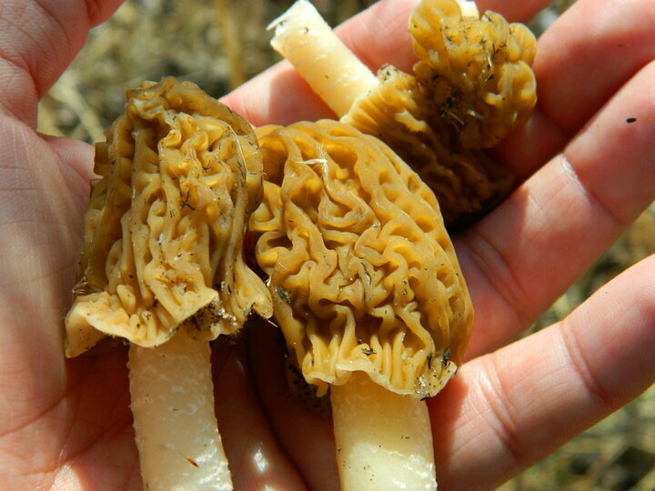 Фото Ирины Черпаковой