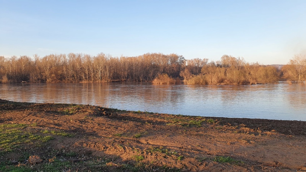 Фото Лужецкой Натальи разлив реки Самара 18 апреля 2021 года за городом Бузулук