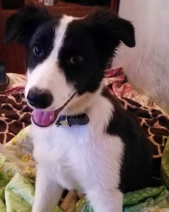 Сошлись на имени Марк. Пару дней после переезда 