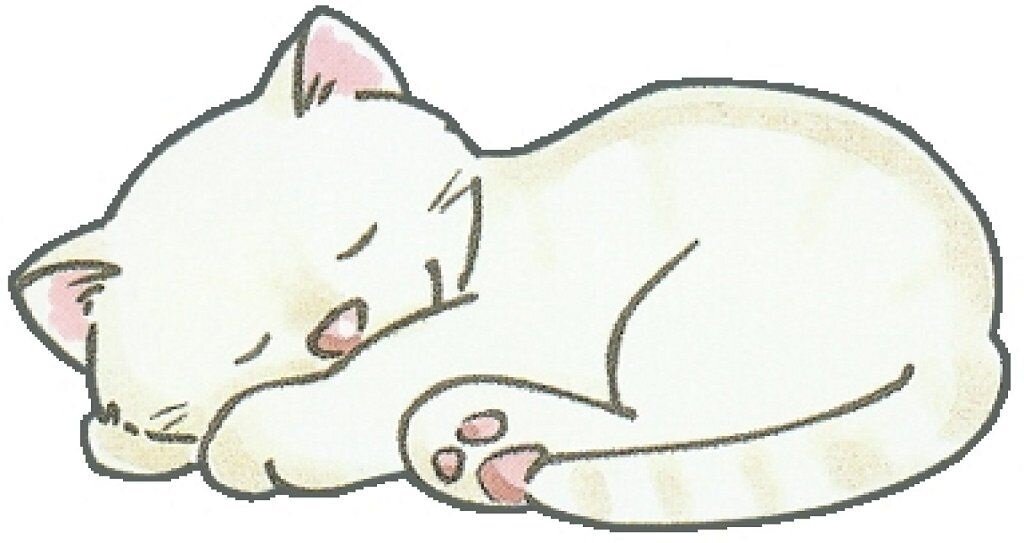 Для кошки нашла вот такую картинку