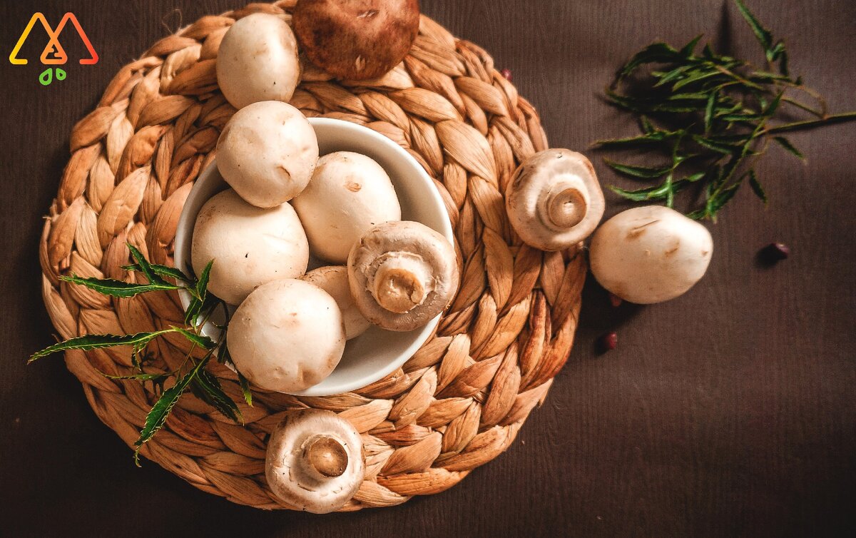 Шампиньоны