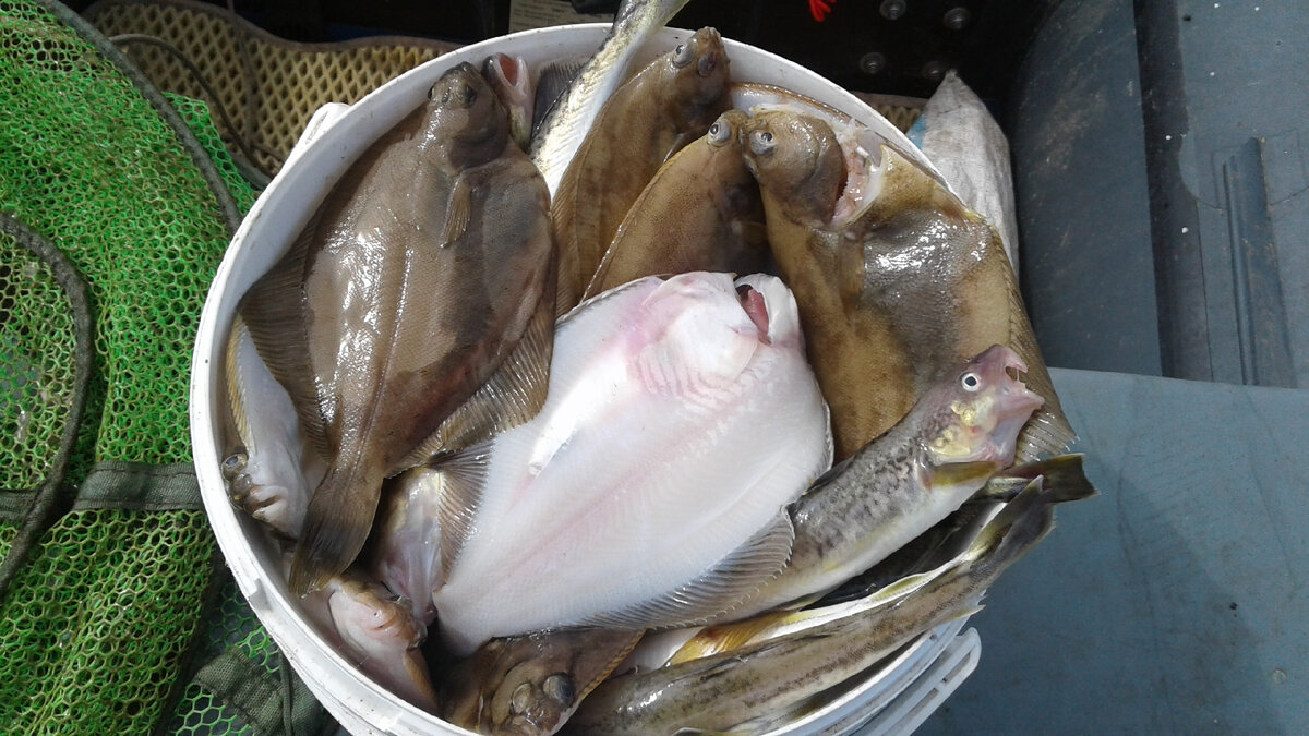 фото с форума санататур