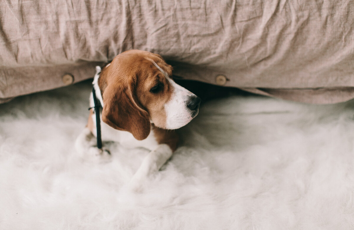  Фото автора Lina Kivaka: Pexels