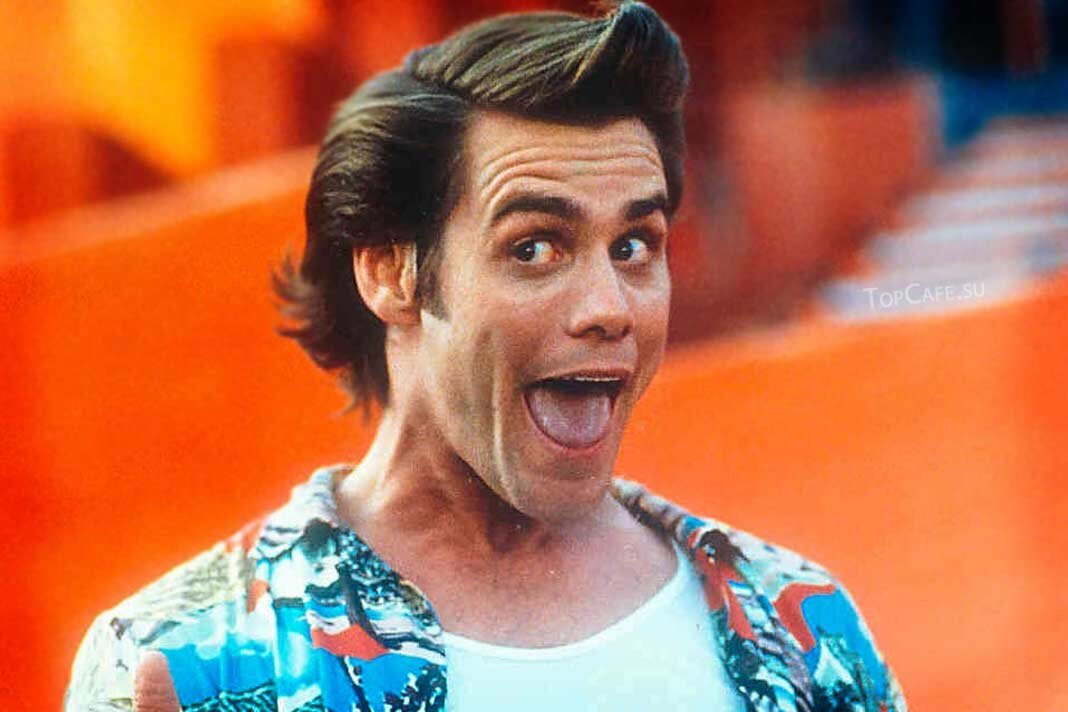 Источник:Яндекс Картинки