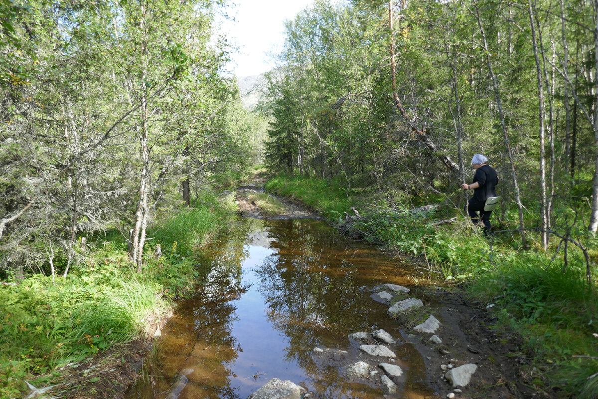 Дорога на озеро Лосиное