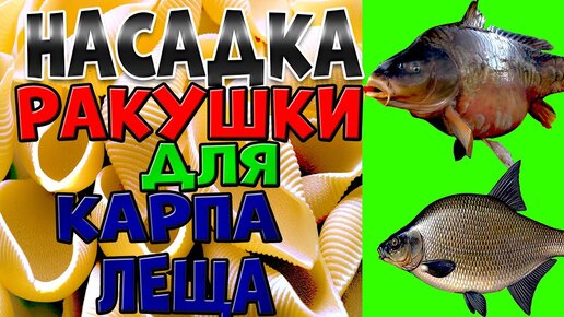 ОТЛИЧНАЯ РАБОЧАЯ ПРИКОРМКА ДЛЯ ЛОВЛИ ЛЕЩА КУРКУМА И ПШЕНО СВОИМИ РУКАМИ видео рецепт №21 #РЫБАЛКА