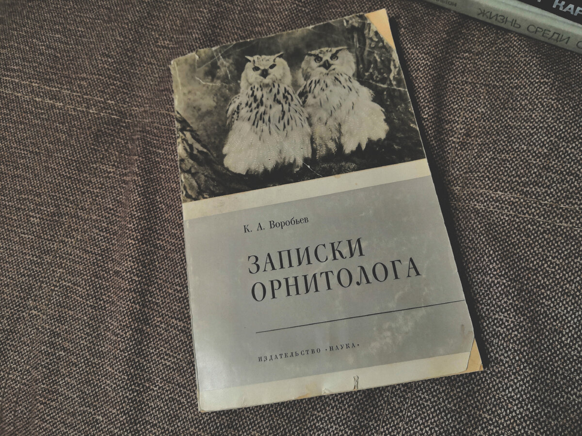 7 причин, почему букинистика соседствует с новыми изданиями на ваших полках  | Anka_hobby | Дзен