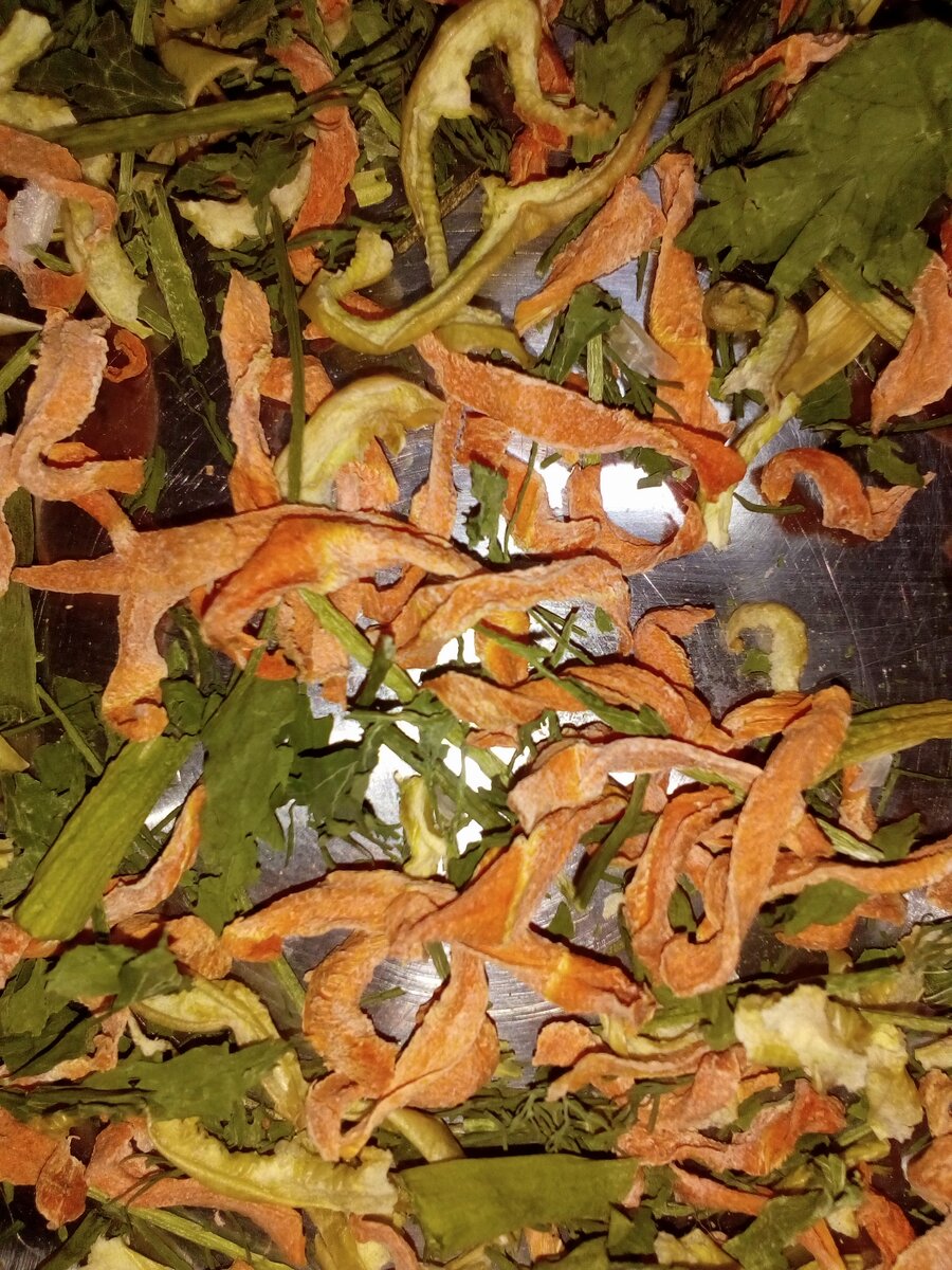 Фото автора, моя сушёная морковь с зеленью