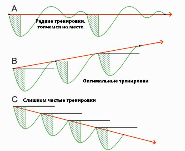 Схема с https://bodybuilding-and-fitness.ru/