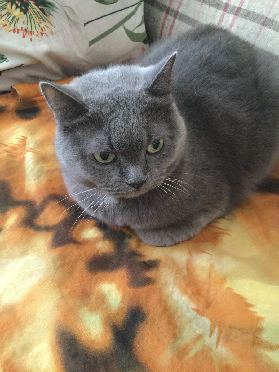 А нас и здесь не плохо кормят))