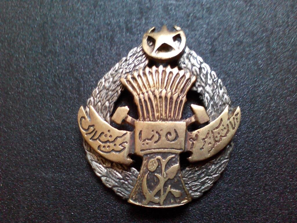 орден труда хорезмской республики. красный военный орден хорезмской нср. орден труда хорезмской народной советской республики ленина. орден хорезмской народной советской республики. орден труда хорезмской народной советской республики ленина.