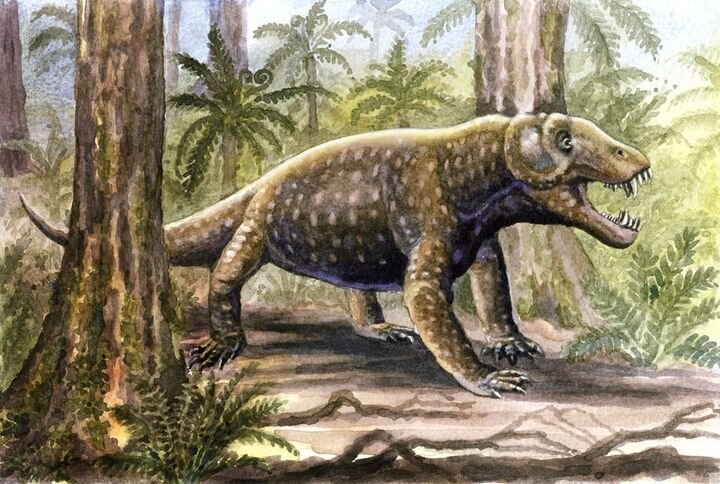 Антеозавр. Фото и иллюстрации взяты из открытых источников и принадлежат их авторам 
