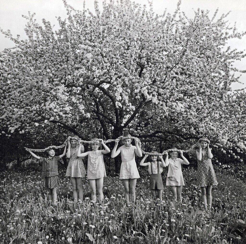 Фото: Ромуальдас Ракаускас