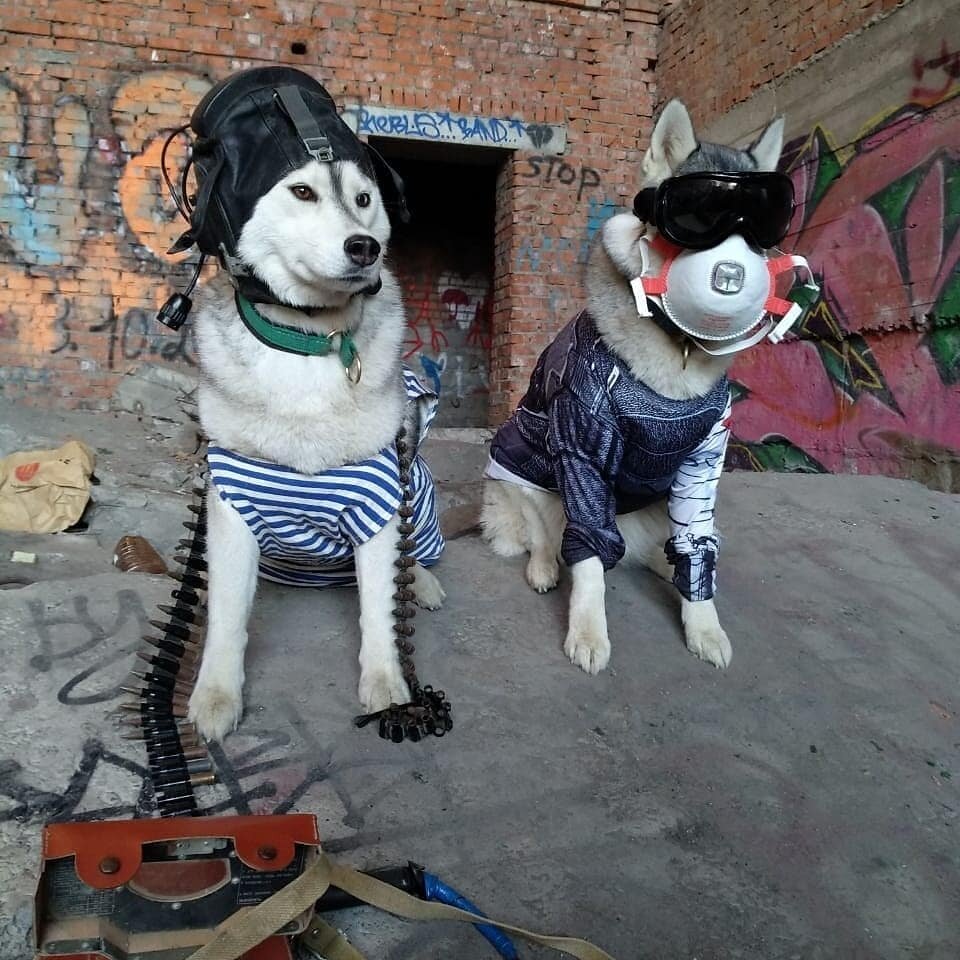 Хаскопартизаны