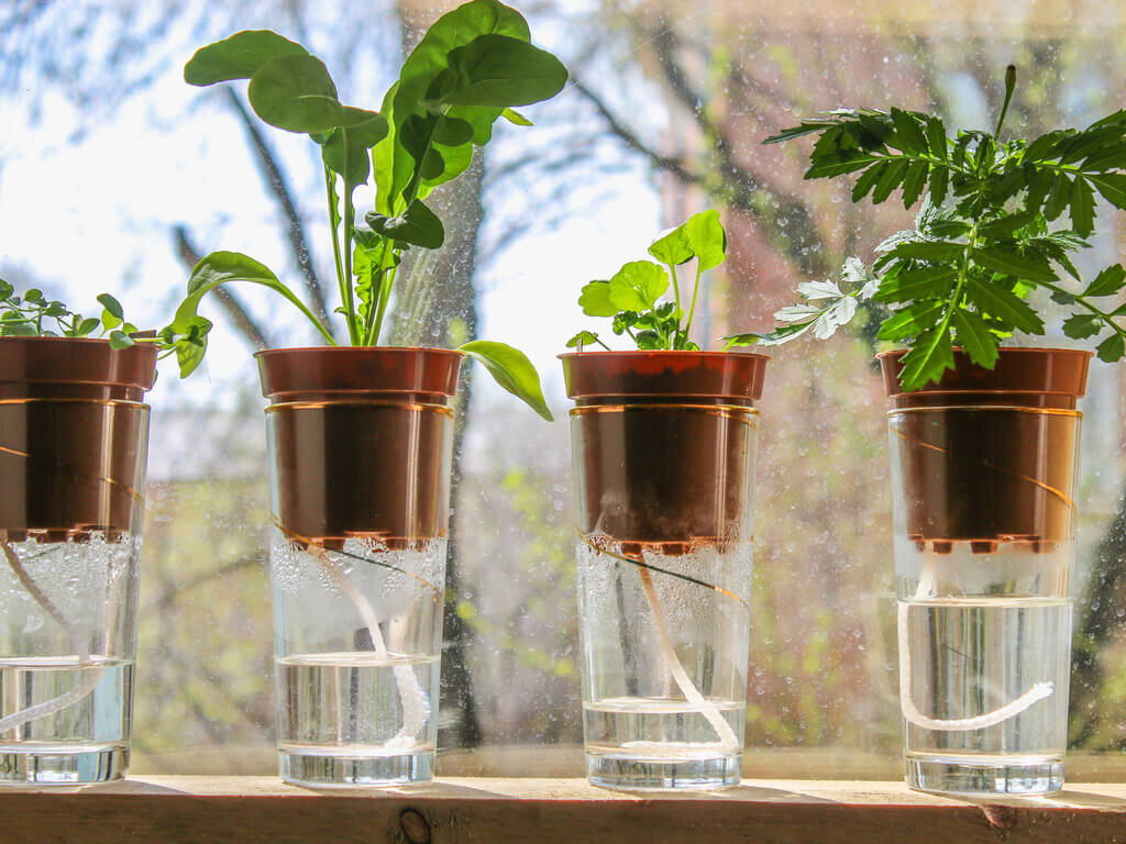 Фитильная система. Источник: https://lemon-film.com