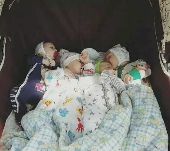 Из открытого источника интернета